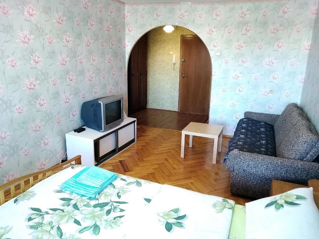 Апартаменты 1-комнатная чистая квартира эконом класса в центре, WiFi Бобруйск-17