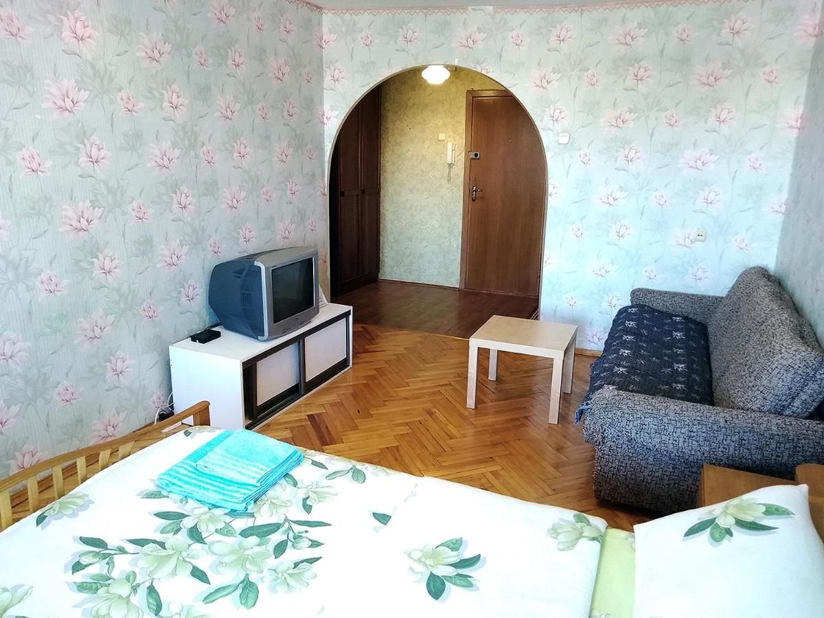 Апартаменты 1-комнатная чистая квартира эконом класса в центре, WiFi Бобруйск-6