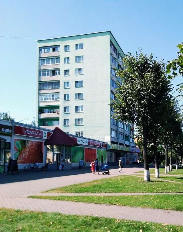Апартаменты 1-комнатная чистая квартира эконом класса в центре, WiFi Бобруйск-13