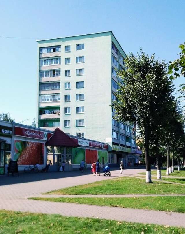 Апартаменты 1-комнатная чистая квартира эконом класса в центре, WiFi Бобруйск-22